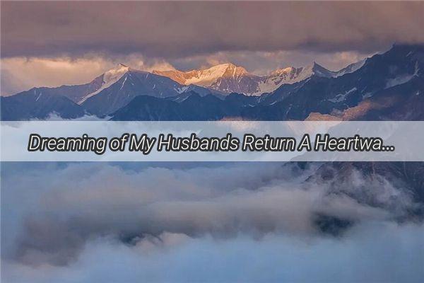 Dreaming of My Husbands Return A Heartwarming Journey Through the Night